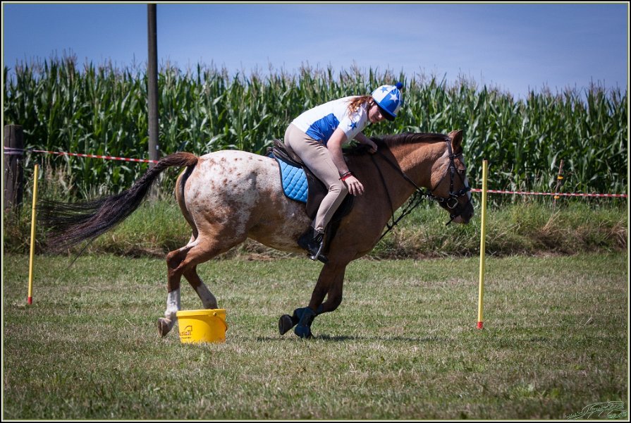 Mounted Games 203
